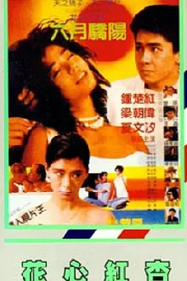 舔穴高潮